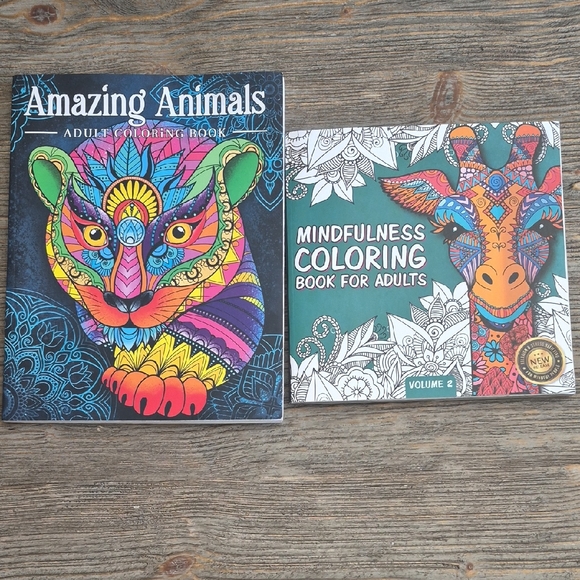 Colorful Adult Coloring Books Set - Picture 1 of 3